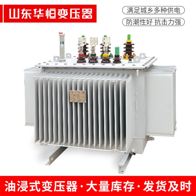 S13-10000/35绥芬河绥芬河绥芬河电力变压器